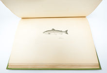 Load image into Gallery viewer, The Complete Angler, or, the Contemplative Man’s Recreation
